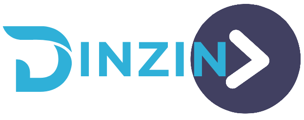Dinzin Logo